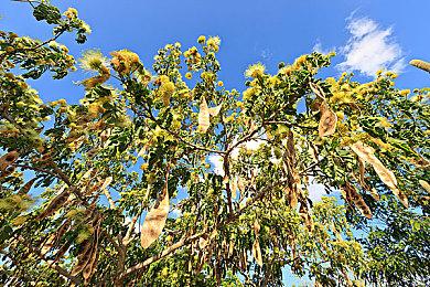 ARPG《联合会：锋芒初露》上架Steam 前育碧COD精英打造